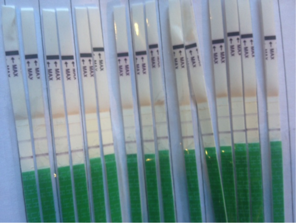 ovulatietest-zwanger-lesbisch