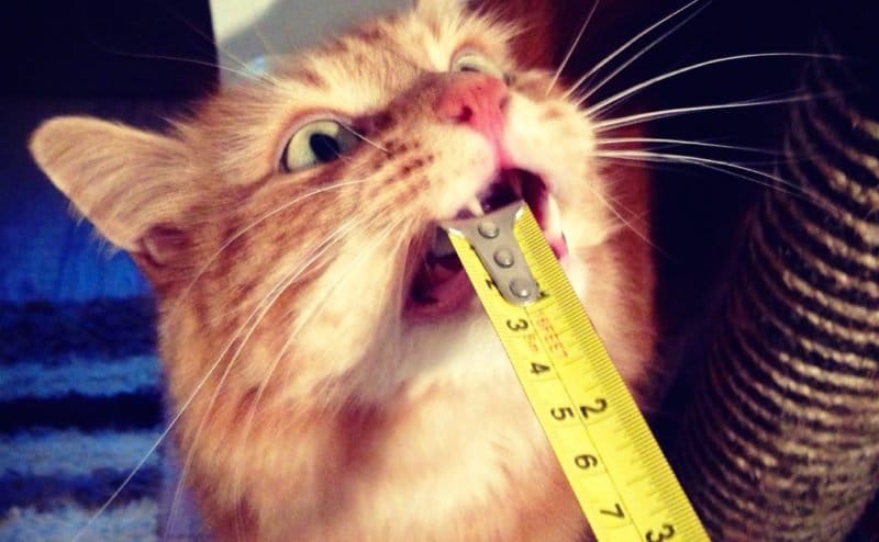 Kind werpen Deel 2: Twee vingers in je vriendin